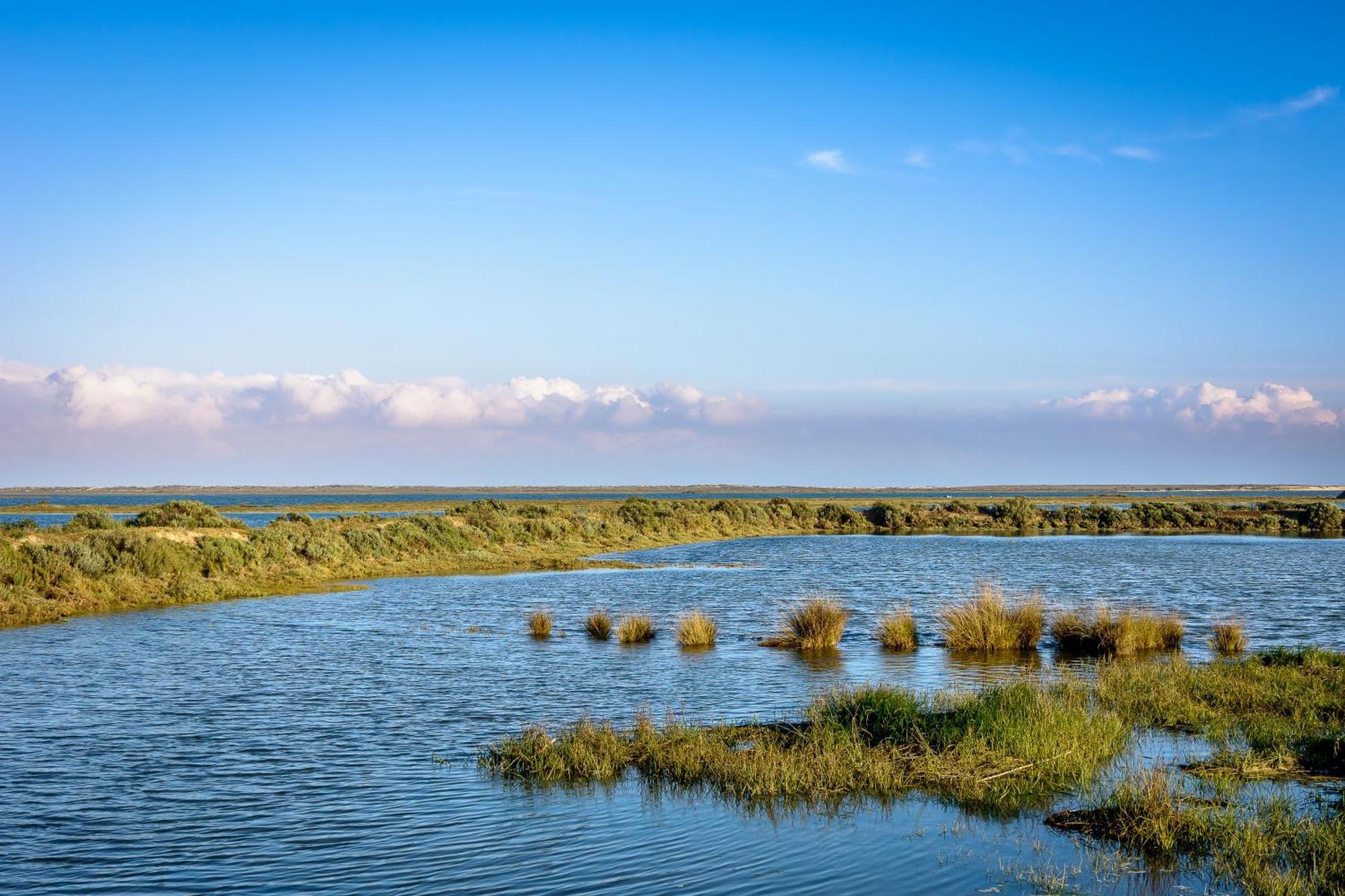 Pedras D'El Rei Hotel Tavira Eksteriør billede